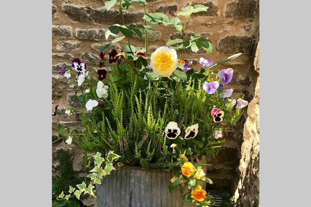 Oxfordshire Living - The Bowler Hat Cottage - Woodstock Dış mekan fotoğraf